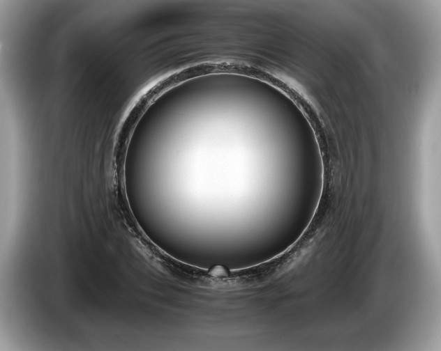 X0000087560927200704271223