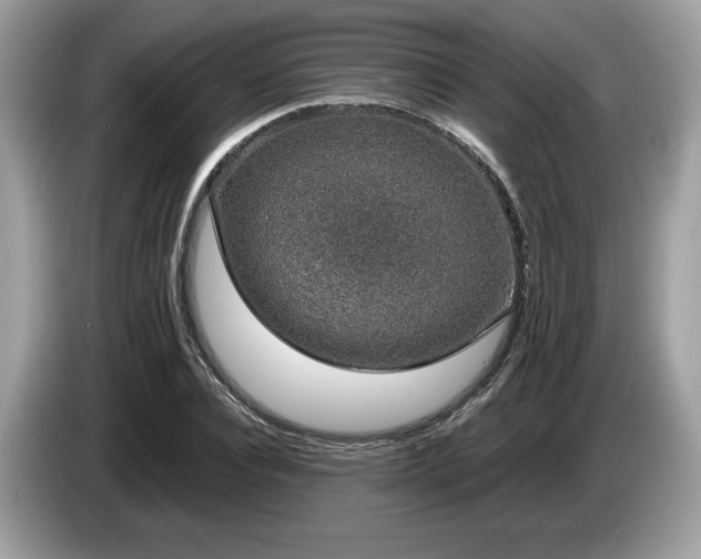 X0000087560928200704271223