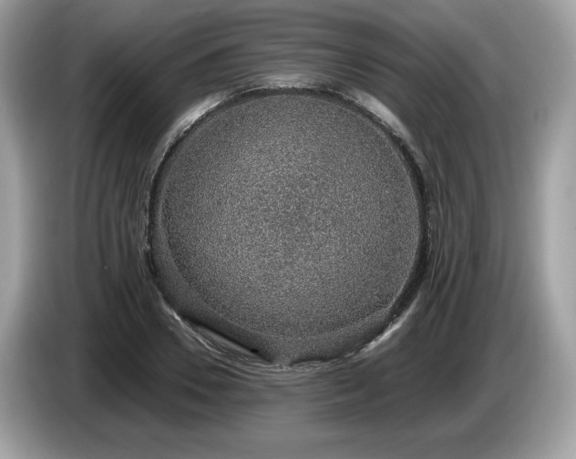 X0000087560930200704271223