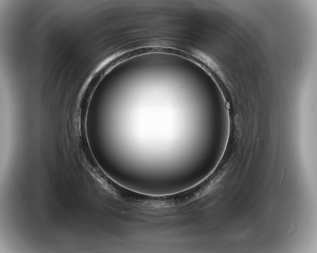 X0000087560931200704271223
