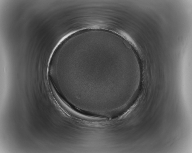 X0000087560932200704271223