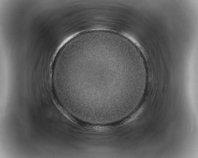 X0000087560933200704271223