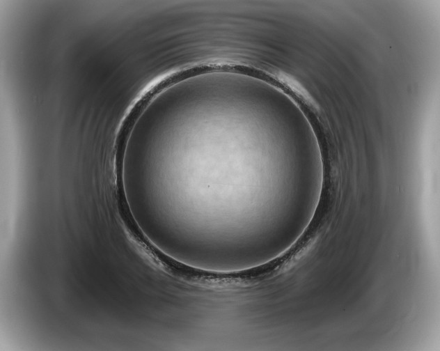 X0000087560934200704271223