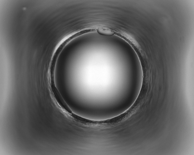 X0000087560936200704271223