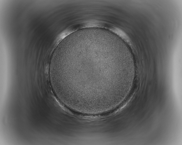 X0000087560937200704271223