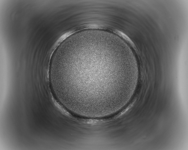 X0000087560938200704271223