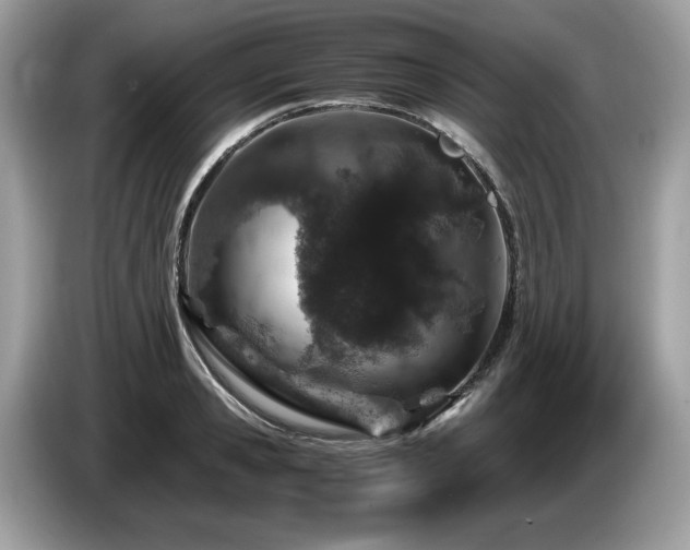 X0000087560941200704271223