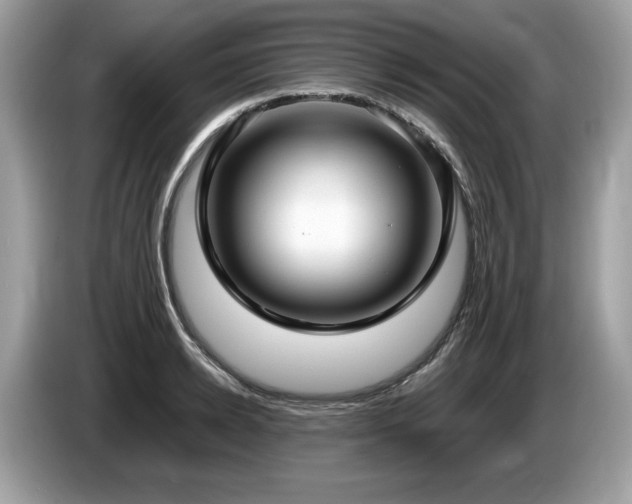 X0000087560942200704271223