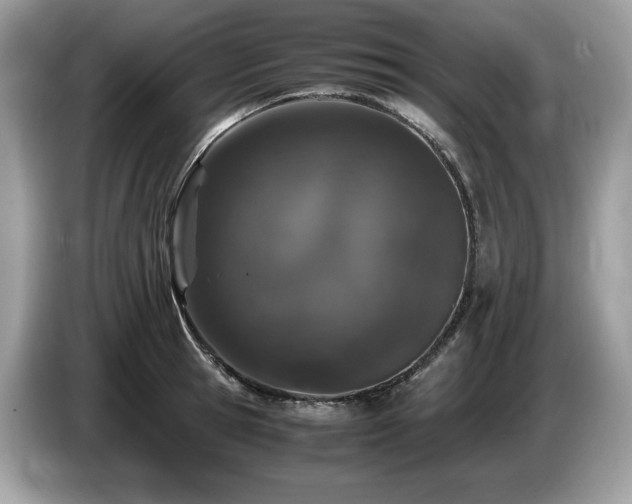 X0000087560945200704271223
