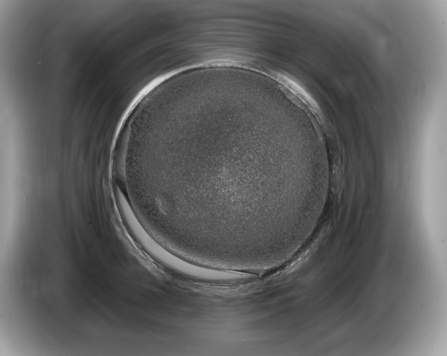 X0000087560948200704271224