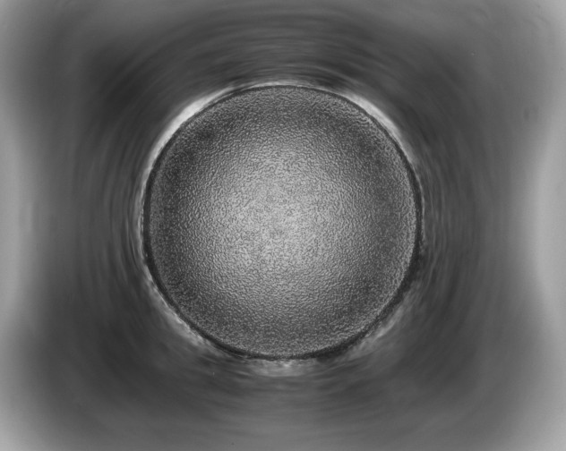 X0000087560949200704271224