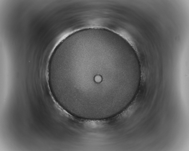 X0000087560950200704271224