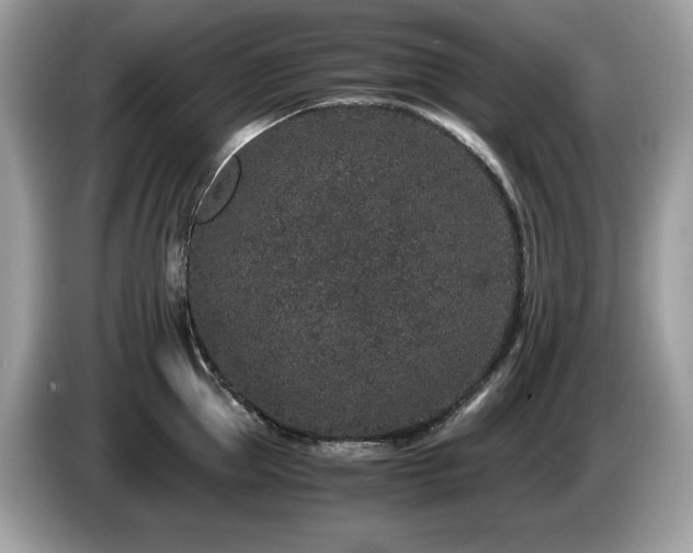 X0000087560953200704271224