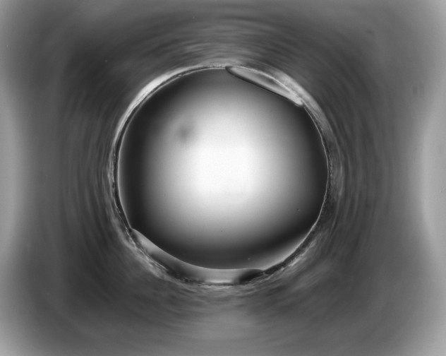X0000087560956200704271224