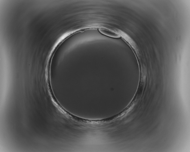X0000087560958200704271224