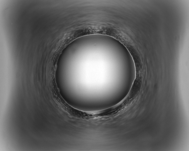 X0000087560961200704271223