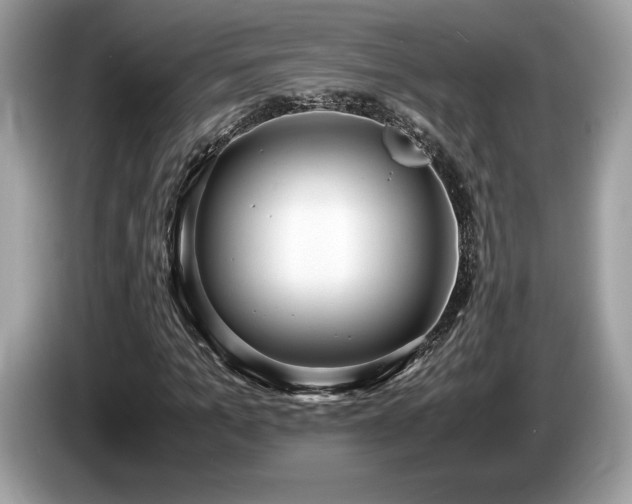 X0000087560965200704271223