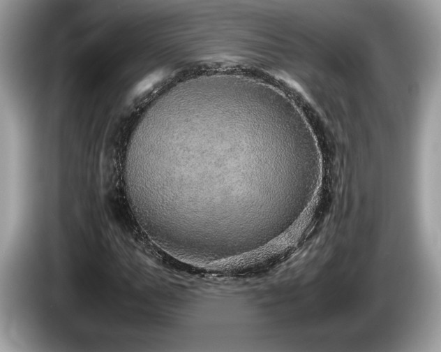 X0000087560967200704271223