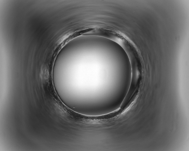 X0000087560969200704271223