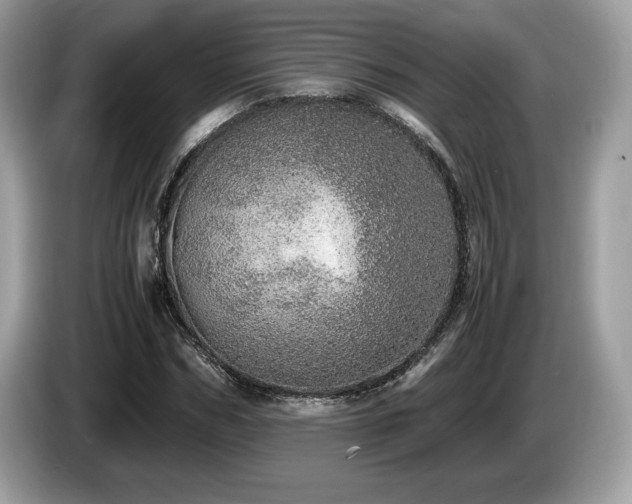 X0000087560970200704271223
