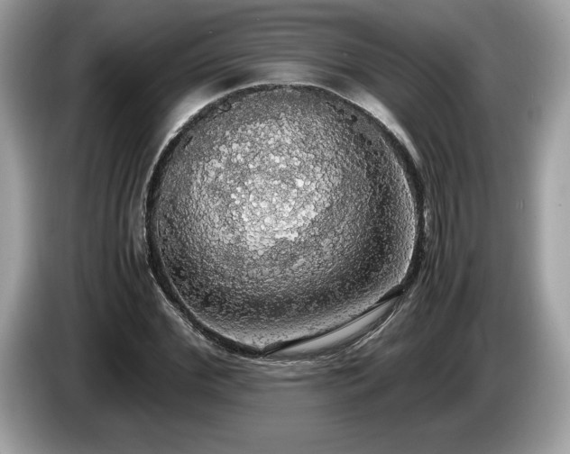 X0000087560972200704271223