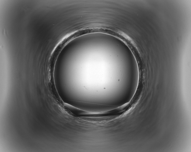X0000087560973200704271223