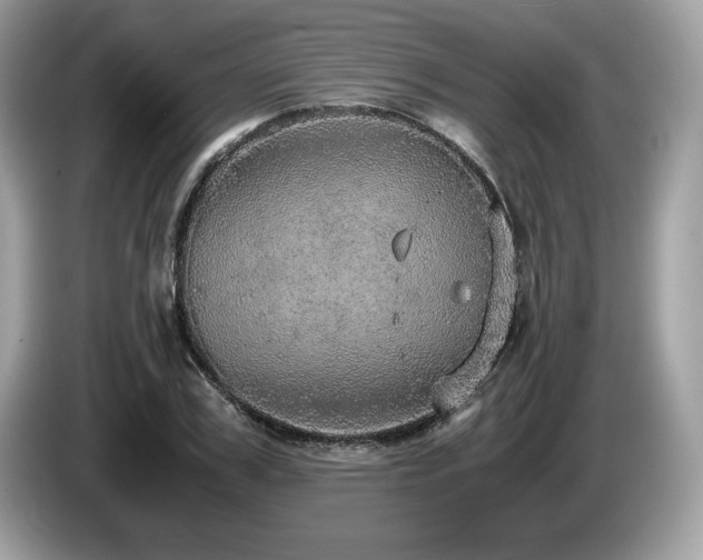 X0000087560979200704271223