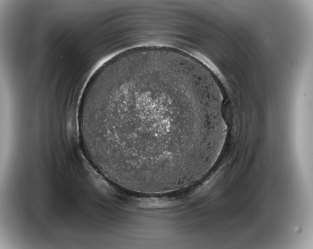 X0000087560980200704271223