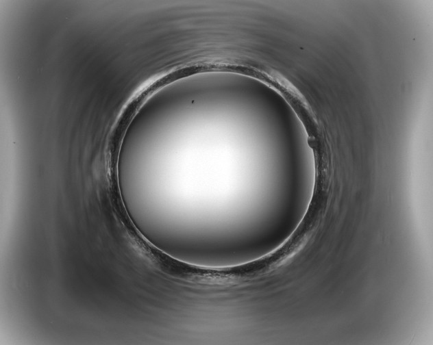 X0000087560981200704271223
