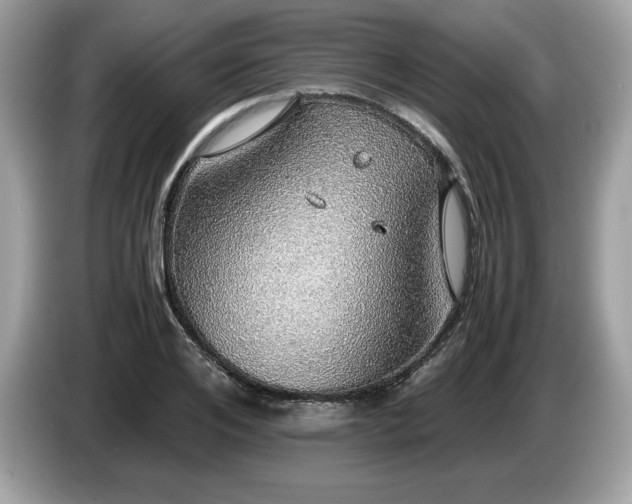 X0000087560984200704271223
