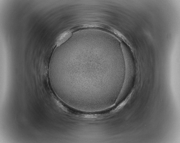 X0000087560985200704271223