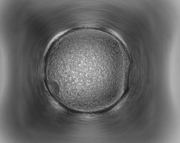 X0000087560987200704271223