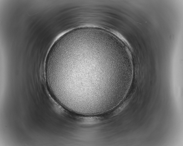 X0000087560988200704271223