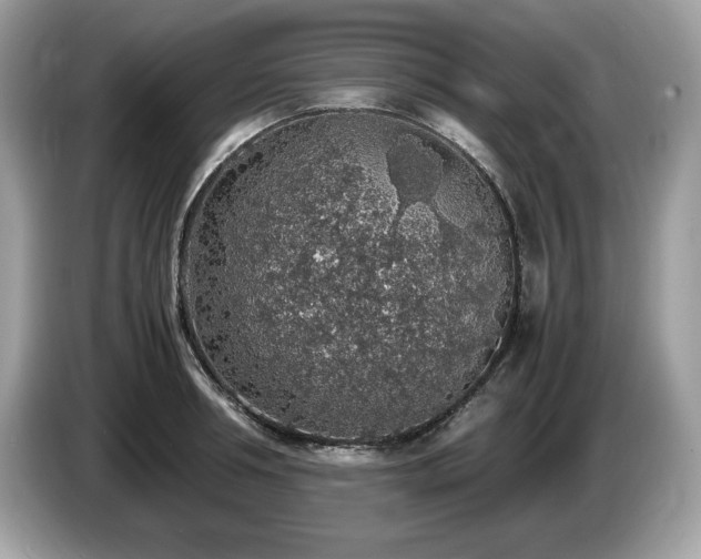 X0000087560994200704271223
