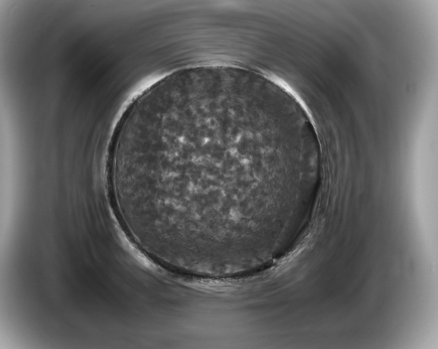 X0000087560995200704271223