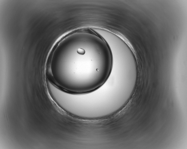 X0000087560996200704271223