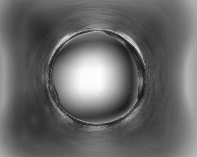 X0000087560997200704271223