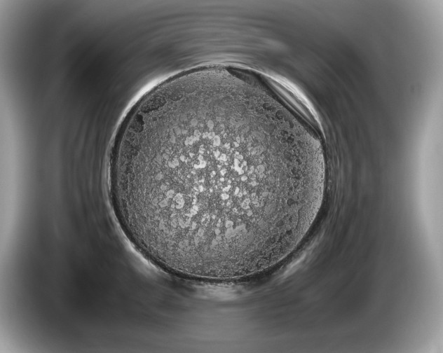 X0000087560999200704271223