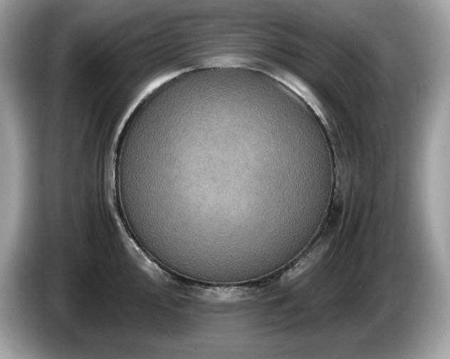 X0000087561000200704271223