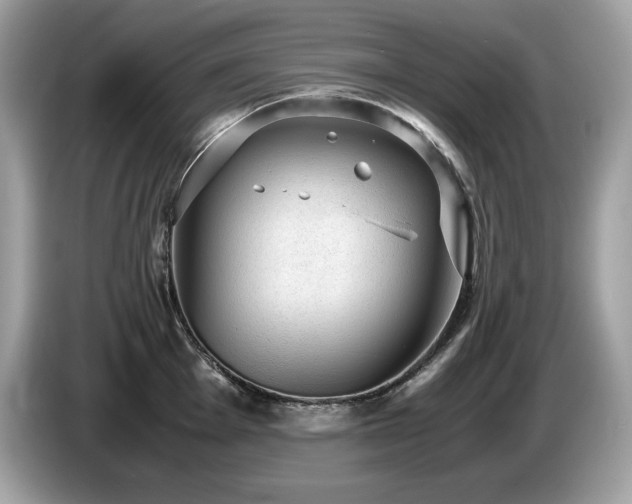 X0000087561001200704271223