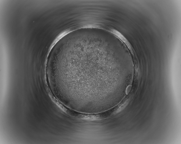 X0000087561002200704271223