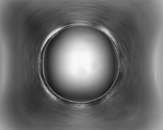 X0000087561003200704271223