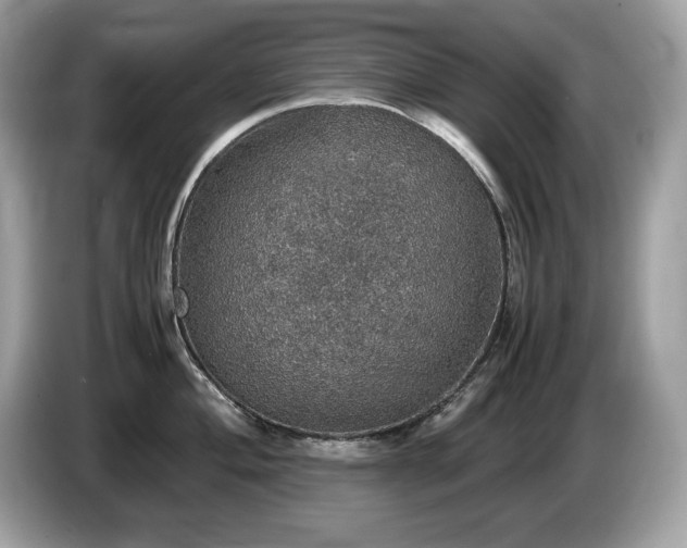 X0000087561004200704271223