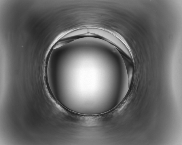 X0000087561005200704271223