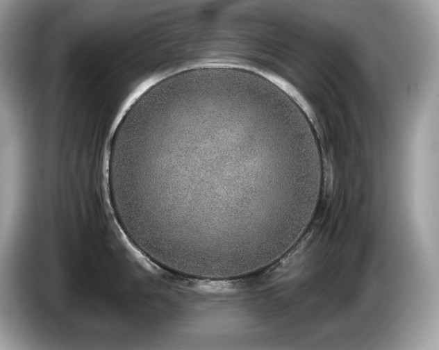 X0000087561006200704271223