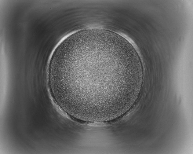 X0000087561008200704271223