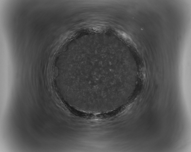 X0000087561009200704271222