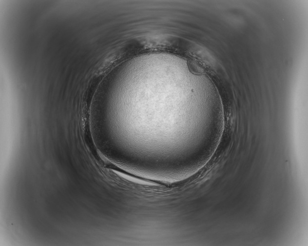 X0000087561012200704271222