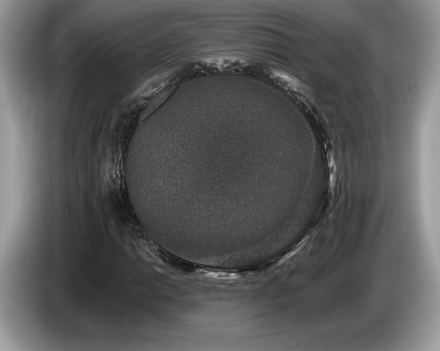 X0000087561014200704271222