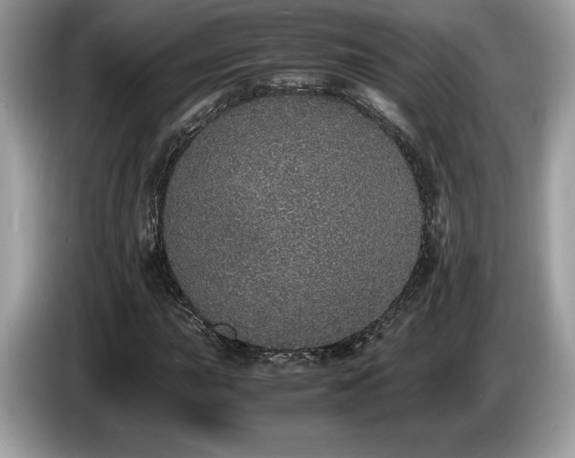 X0000087561015200704271222